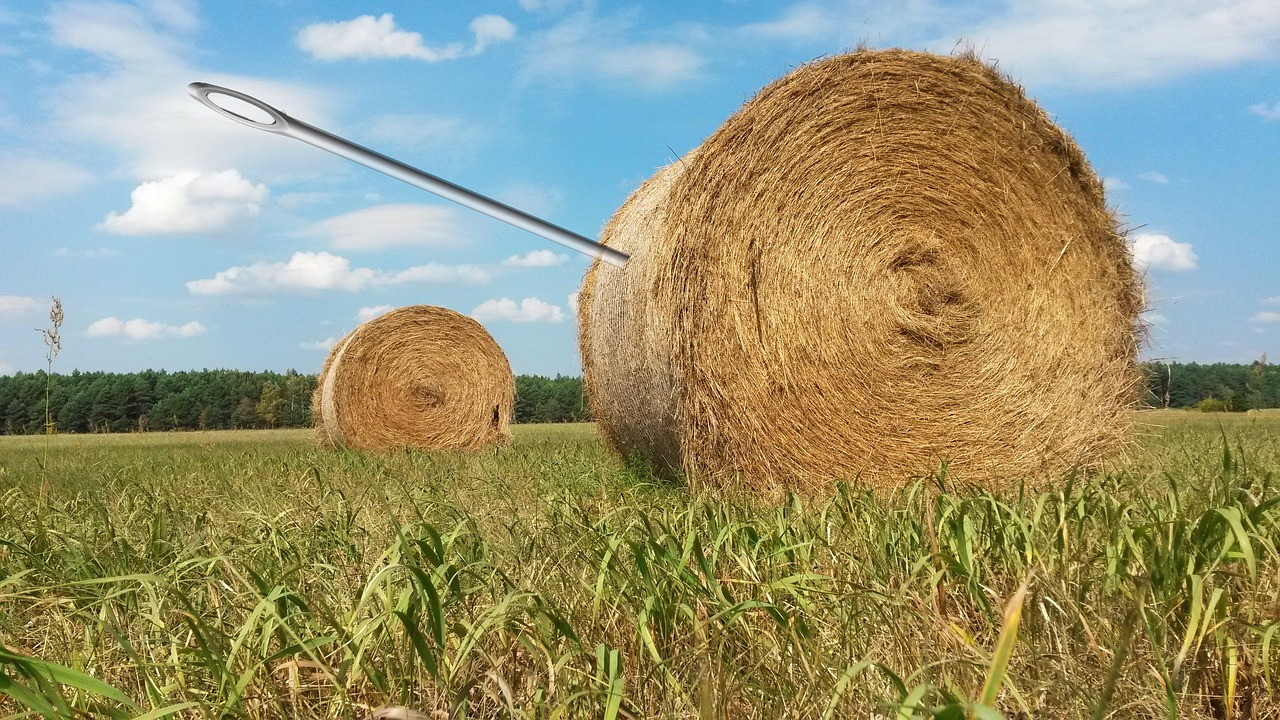 needle-in-a-haystack-g8b1c30449_1280.jpg